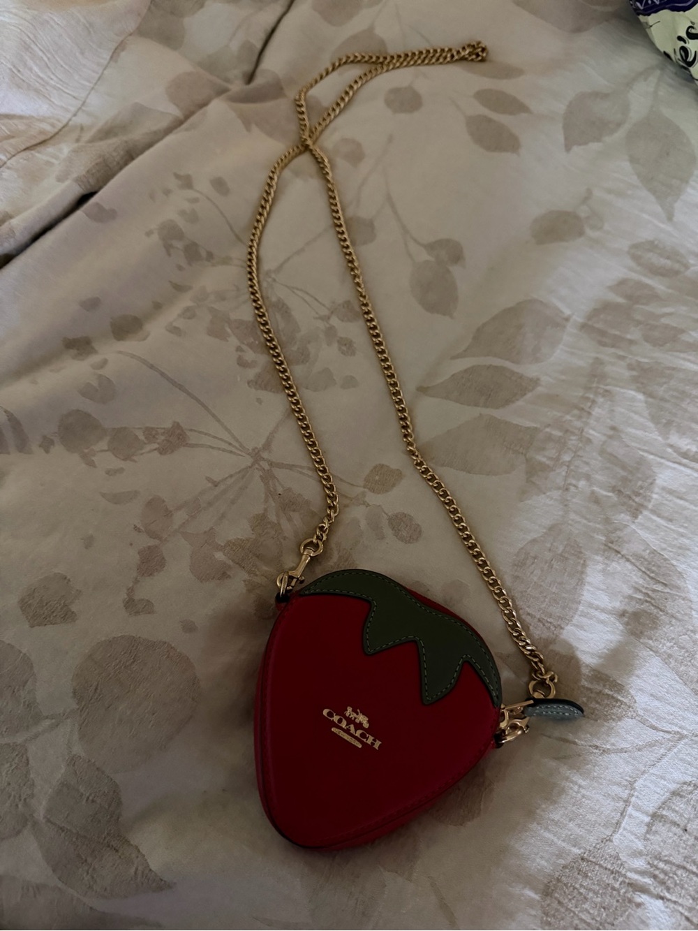 Coach Red Strawberry Coin Purse with Green Top and Gold Chain
